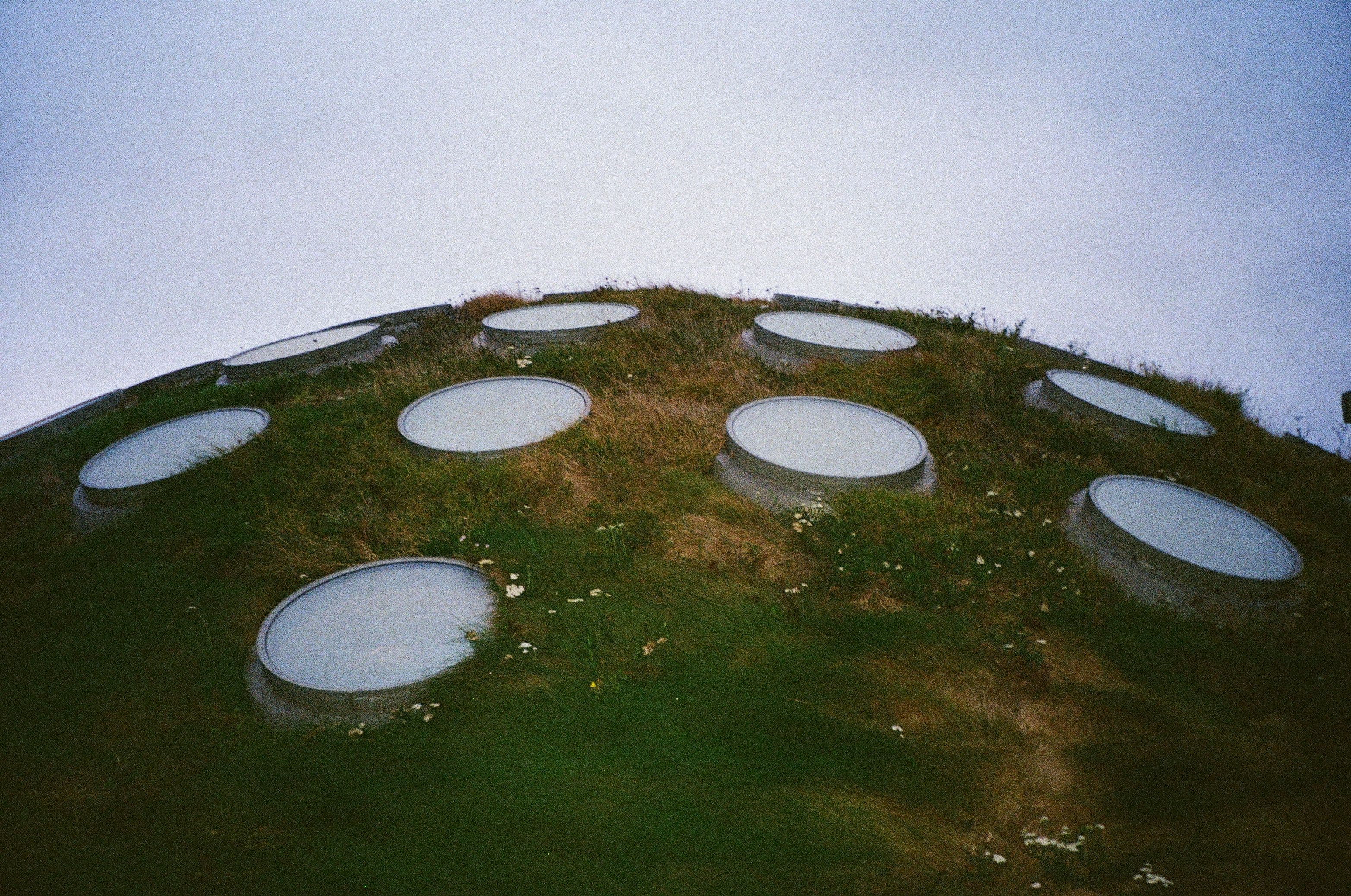 Academy of Science