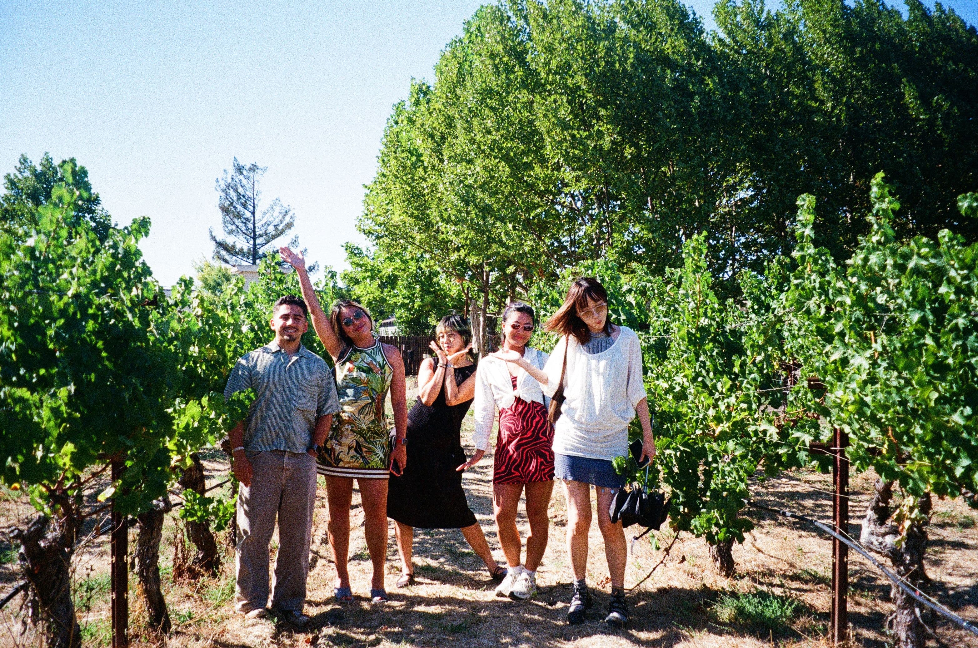Yung Studio in Napa