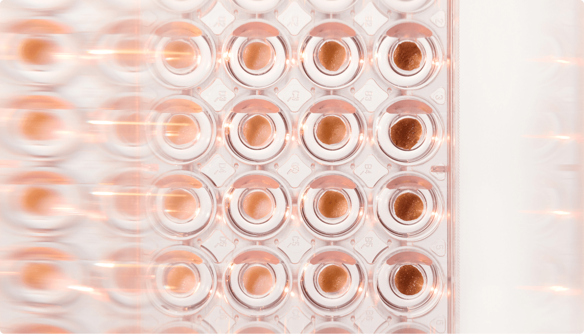 Close up shot of trays with skin samples of varying tones