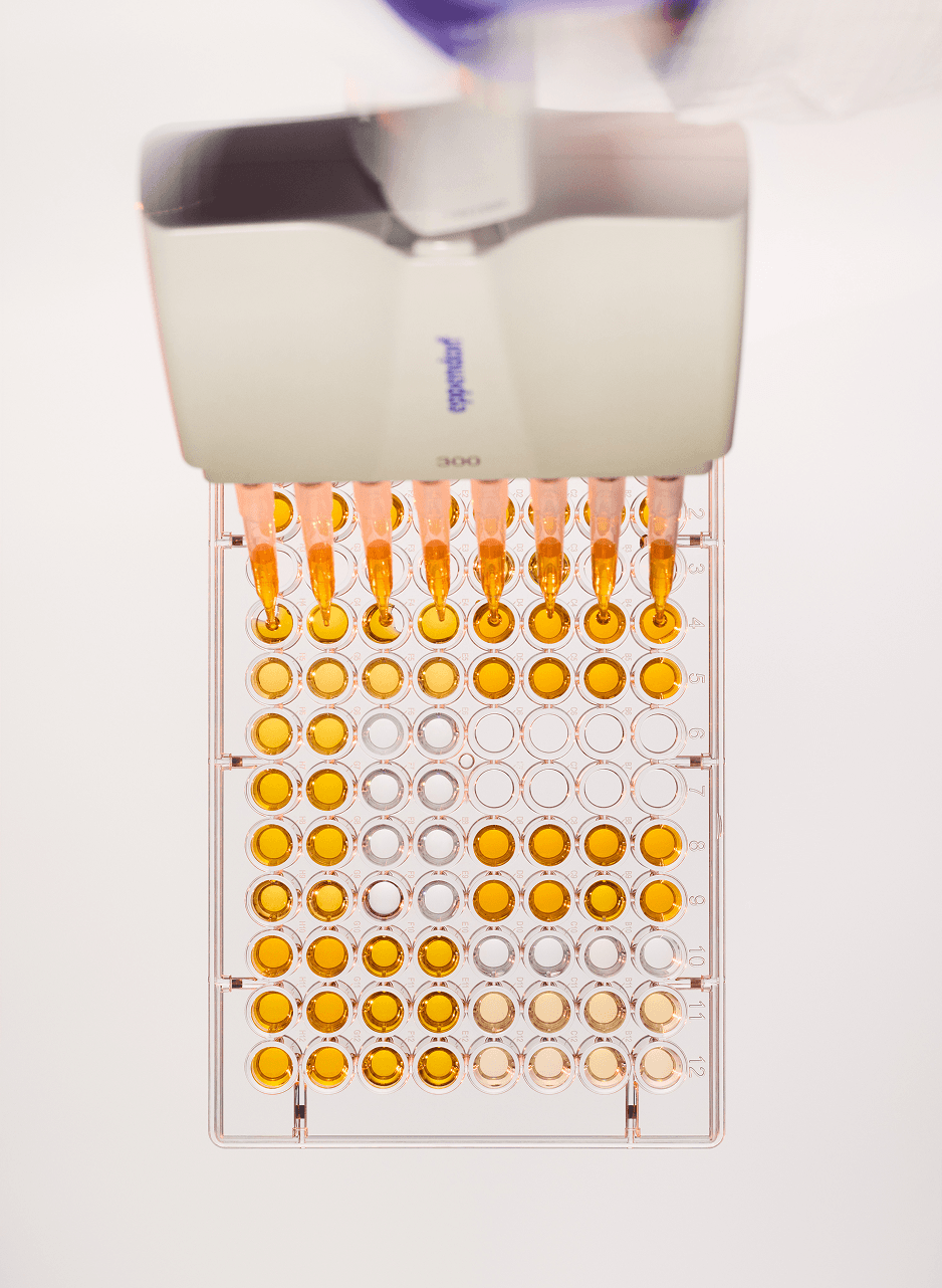 Overhead shot of a tray being filled with a pipette