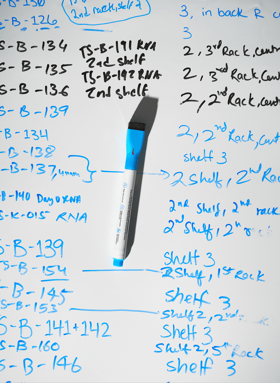 Whiteboard with scientists' writing on it
