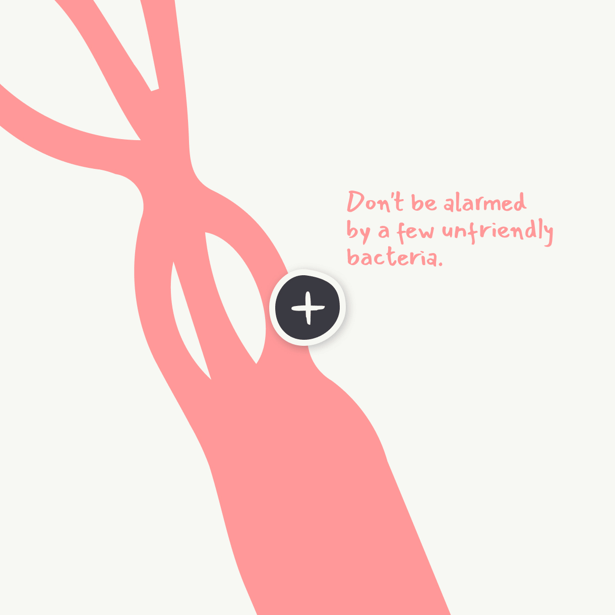 explainer