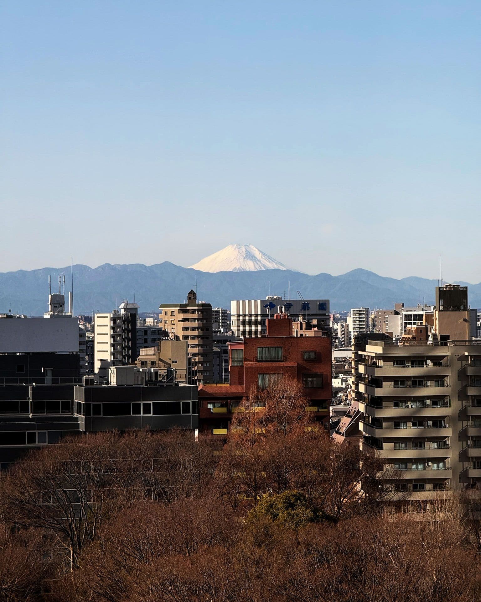 Tokyo Fuji Mountain