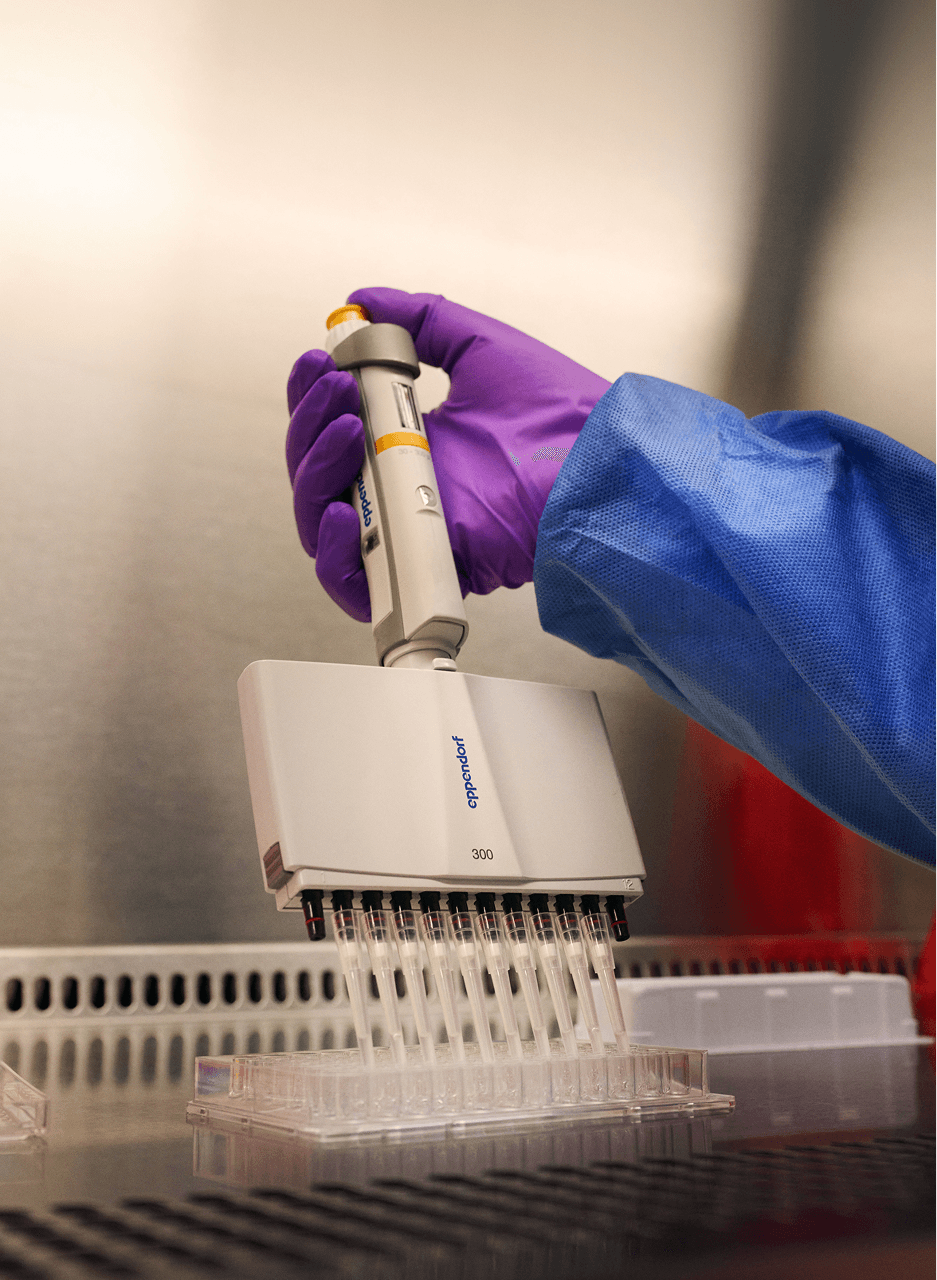 Person in a lab pipetting liquid into trays