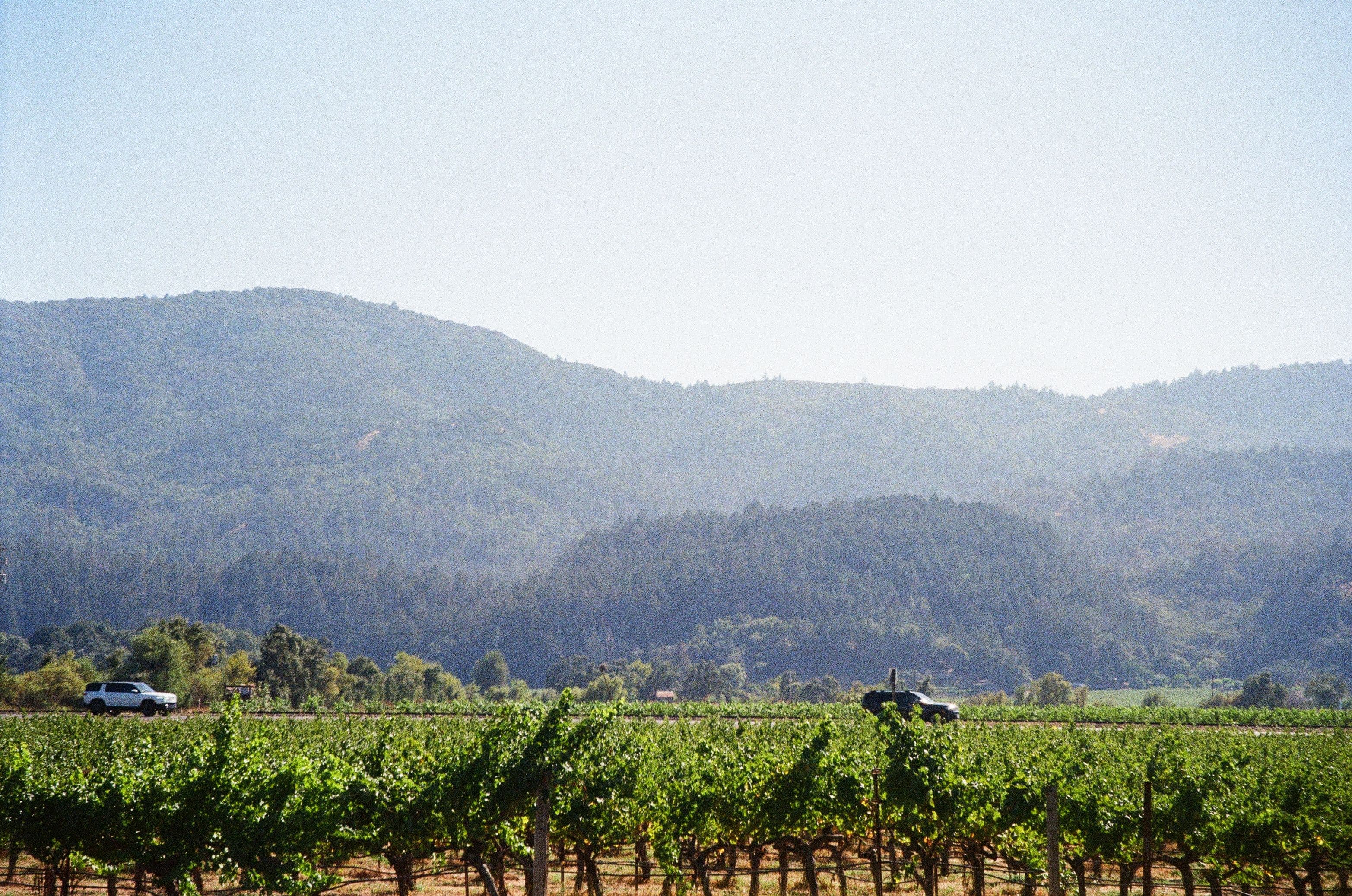 Napa valley